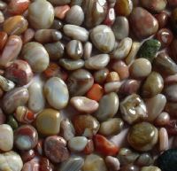 Polished Rain-folower stones